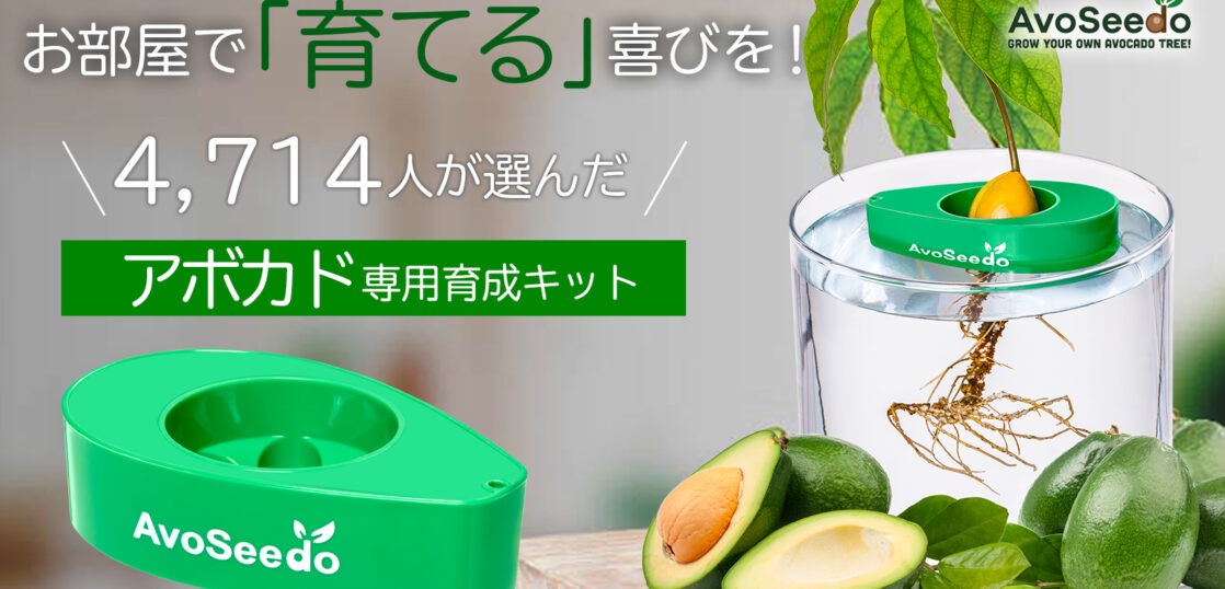 AvoSeedo – Japan Standard