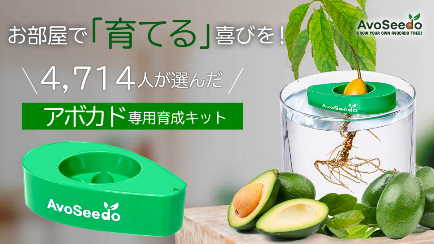 AvoSeedo – Japan Standard